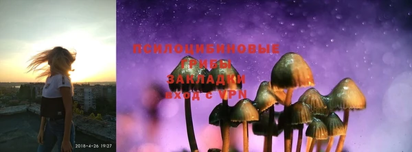спайс Аркадак