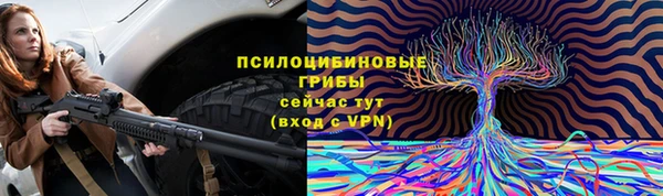 прущая мука Инсар