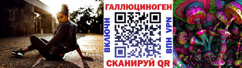 Псилоцибиновые грибы Psilocybine cubensis  Тында 